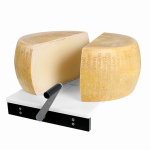 Parmesan, dcoupe pro Matriel de dcoupe Parmesan dcoupe pro 54-00-00